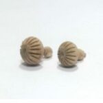 Tulsi Wood Make Ear Tops