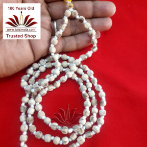 Tulsi Japa Mala Round Cutting Bead