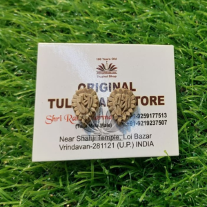 Tulsi Wood Make Ear Tops