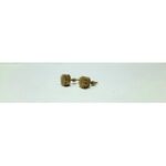 Tulsi Wood Make Radha Name Carving Ear Tops