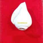 NATURAL BLOWING SHANKH FOR PUJA… 4 Inch Size