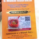 Original 6 Mukhi Certified Rudraksh With Lab Certificate