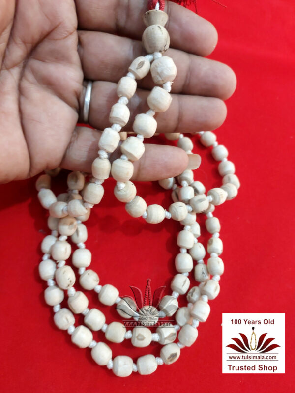 Tulsi Japa Mala Round Quality - Image 3