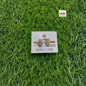 Tulsi Wood Make Radha Name Carving Ear Tops